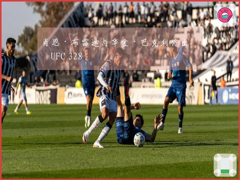 肖恩·布雷迪与华金·巴克利将出战UFC 328