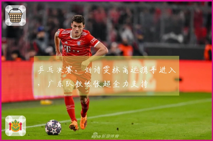 乒乓决赛，刘诗雯林高远携手进入，广东队教练张超全力支持