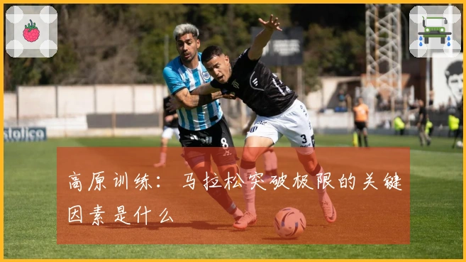 高原训练：马拉松突破极限的关键因素是什么